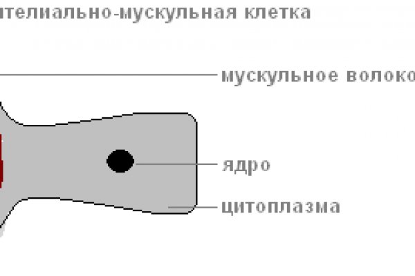 Kraken официальный сайт ссылка