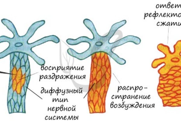 Kra13.at